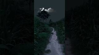 Download lagu do pal ruka khwabon ka karwan hd mp3 Download lagu do pal ruka khwabon ka karwan hd mp3