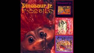 Dinosaur Jr. - Show Me the Way (Peter Frampton cover)