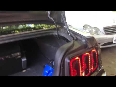 Cammed Procharged 6 Speed 4.0 Mustang