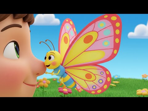 Fluturasul - Cantece pentru copii
