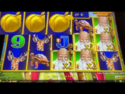 What happens if I play HIGH BET on low limit Dragon Link? Check it out...