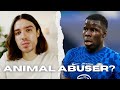 This Video Will Change Your View About The Kurt Zouma Cat Story