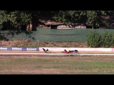 Race 8 Federation Sprint - OR 275m