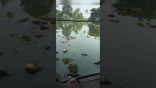 مدیتیشن جامع، پاکسازی، رهاکردن طناب های اتریک