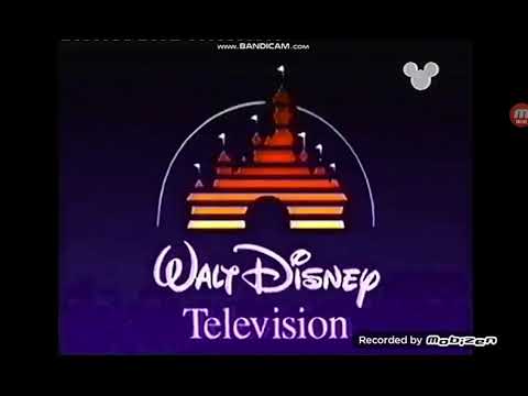 Walt Disney Television/Buena Vista International Inc (2000)