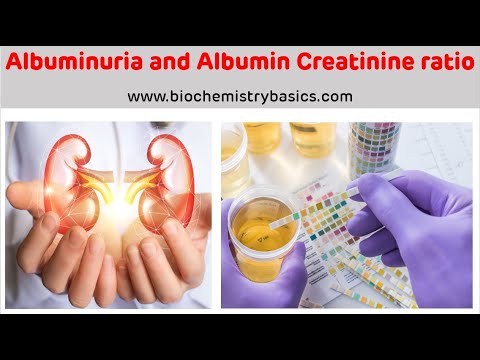 Albuminuria || Albumin Creatinine Ratio || Albumin In Urine