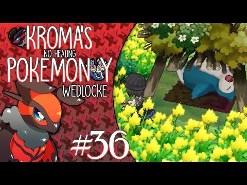 Pokémon Y "No Healing" Wedlocke, Part 36 - The Lost Woods!