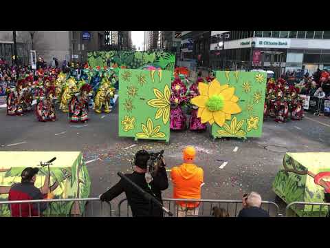 South Philadelphia String Band | 2019 Judges CAM