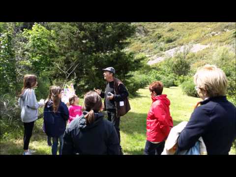 download lagu mp3 mp4 Gite Cucugnan, download lagu Gite Cucugnan gratis, unduh video klip Gite Cucugnan