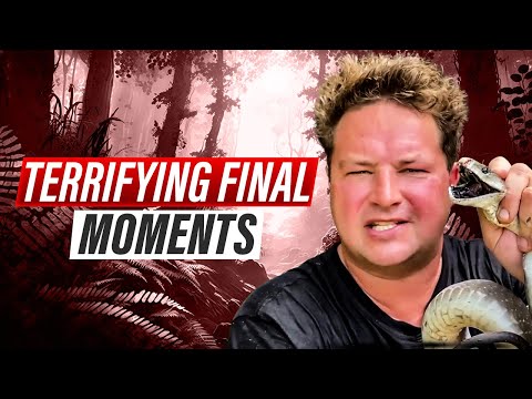 Terrifying Final Moments of Dingo Dinkelman - South Africa’s Steve Irwin