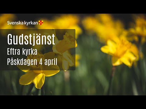 Gudstjänst från Eftra kyrka, Påskdagen 4 april