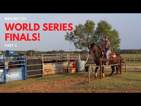 Practicing for the World Series Finals! TEAM ROPING 2020 // TEAM ROPING HEADING VIDEO!