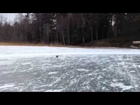 Anders visar snabbaste vägen till lårkaka