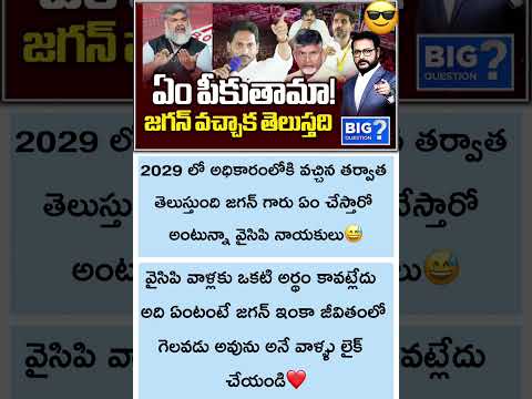 POLITICAL TOUCH ⚡️