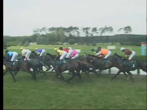 KO, 23. 7. 2016, 4. dostih - Cena Akciové společnosti CHOVSERVIS Hradec Králové