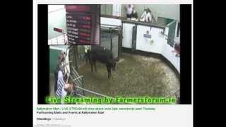 preview picture of video 'Ballymahon Mart Live Streaming'
