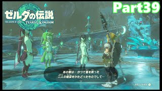【39】ぼっち勇者の天空探検【ゼルダの伝説ティアーズオブザキングダム】