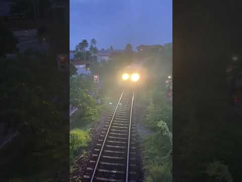 Bentota beach  | Sri lanka  #like #nature #lankans