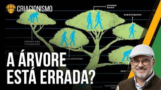 Novos estudos complicam a história da evolução humana