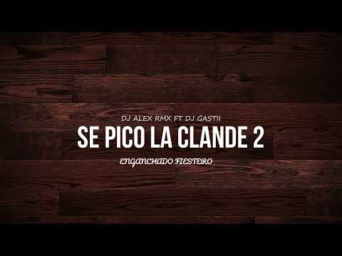 SE PICO LA CLANDE 2 DJ ALEX RMX FT DJ GASTII