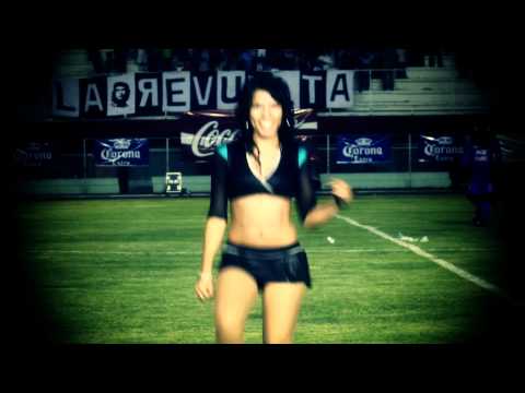 Panteras Temporada 2011