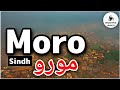 Moro City Sindh Pakistan History Documentary Explained InsightFulLensTv