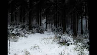 Abyssic Hate - Depression Part 2 (Demo)