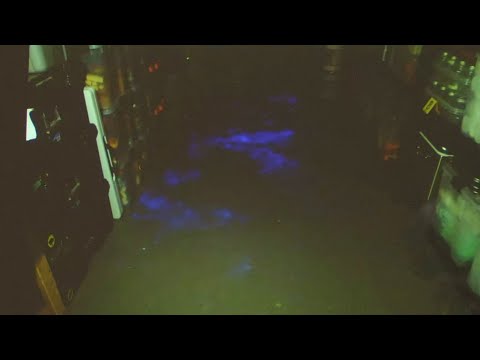 Day 5 of Chandler Halderson homicide trial