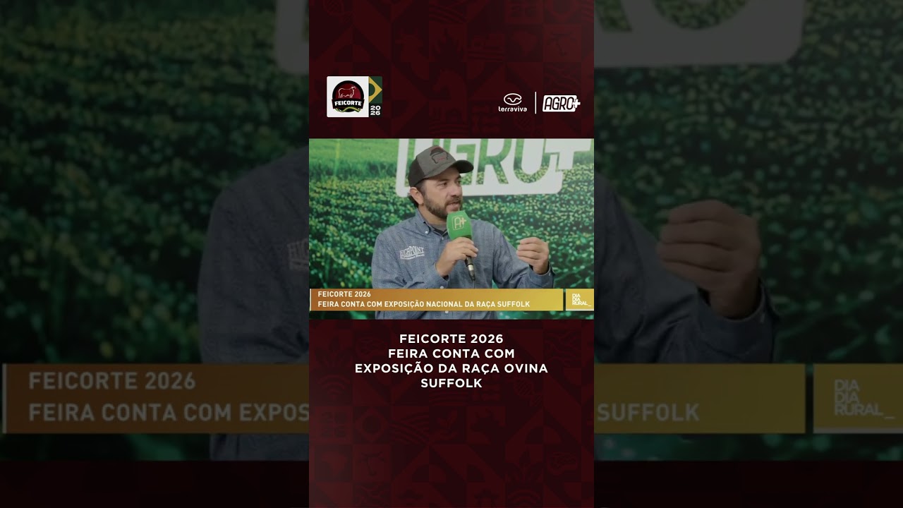 Por que a raça Suffolk é referência na carne ovina?