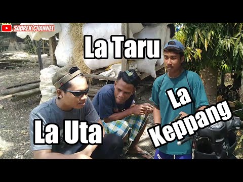 La Taru, La Uta, La Keppang | Video Lucu Bugis