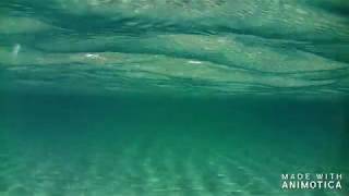 Allan Holdsworth - Shallow Sea