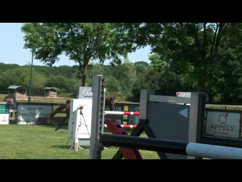 Zagreb ( Eurocommerce Napels x Ulster ) in Kaatsheuvel (NL)