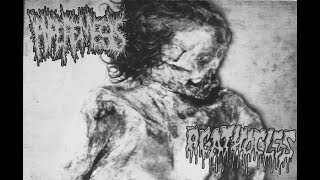 Agathocles - 13 tracks