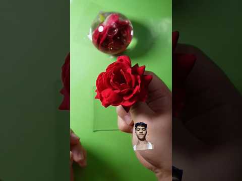 #nanotape #fruitninja #fruit #shortsfeed #fruitcutting #ninjafruitcutting #tropicalfruit #midhuna