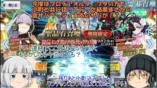 「ゆっくりFGO実況」459ページ目　今度はプロテアオルタ、プタの方も小町と共に狙って行った結果まさかの金サバラッシュであのサバが！？