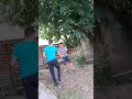 Bătăi Ca In Filme