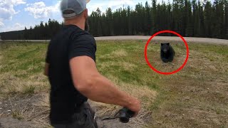 6 Bear Encounters That Will Leave You Shook