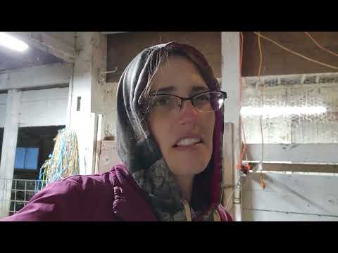 Goat Feed or Chicken Feed