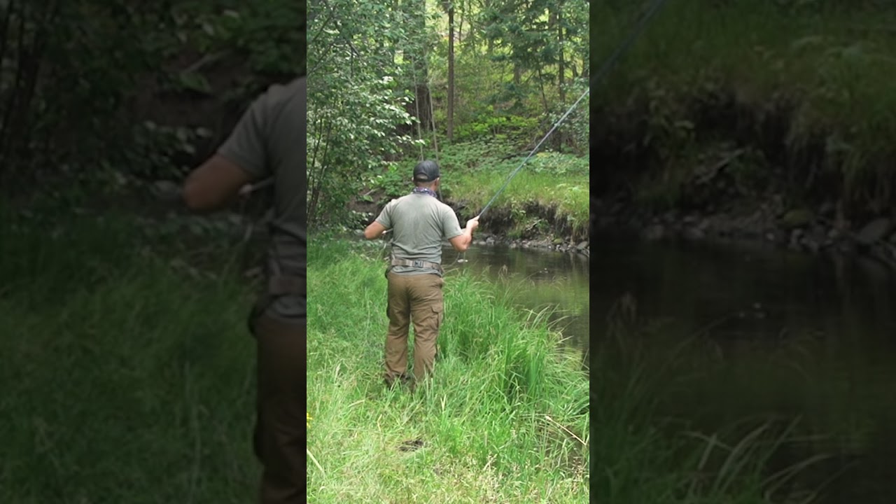 When You Make The Perfect Cast On The First Cast! #flyfishing