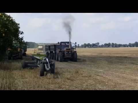 Ursus 1614 ruszanie z dwoma przyczepami - Żniwa2018 - Brzysko - Rol