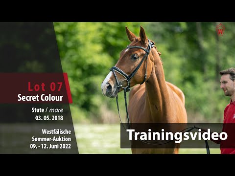 Sommer-Auktion Training Lot 7 Secret Colour Stute v. Secret - Fidermark