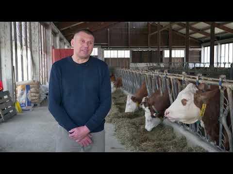 Naša priča ep. 347 21.04.2022. Porodica Jeremić, proizvodnja priplodnih grla, selo Vojska