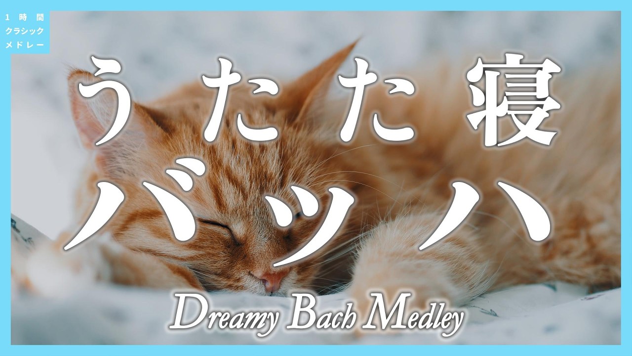 うたた寝バッハ～Dreamy Bach Medley