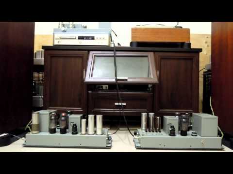I Could Have Told You video