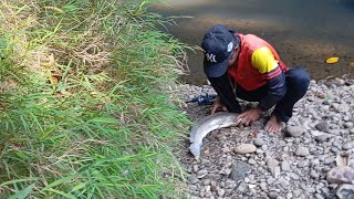 Download lagu MANCING SANTAI DISUNGAI TENGAH HUTAN - DI SEDALEM PART 4 - STREKKKkkk mp3 Download lagu MANCING SANTAI DISUNGAI TENGAH HUTAN - DI SEDALEM PART 4 - STREKKKkkk mp3