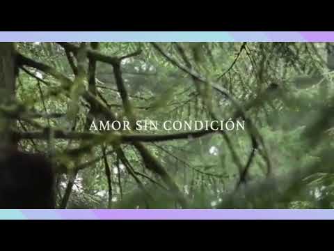 Necesito un encuentro