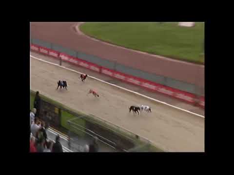 Saturday 07/08/2021 Race 2 Ladbrokes gold cup heat 2