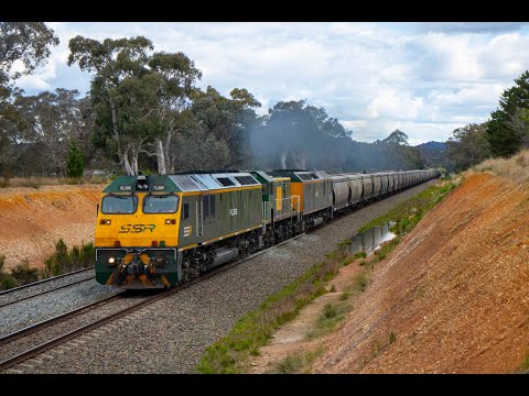 Trackside: 4473 on Streamliners shuttles plus double RL's on 8242 load SSR grain to Maldon- 2/10/22