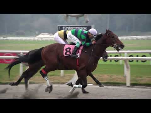 230624 c05 - BLANC DE NOIRS (BRZ) - HIPODROMO DE MAROÑAS