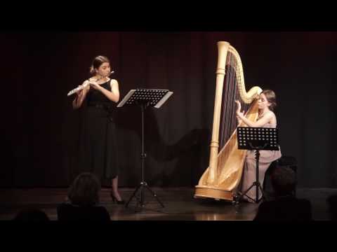 Bernard Andres - Algues